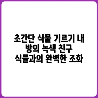 원룸에서 반려식물 키우는 초간단 방법