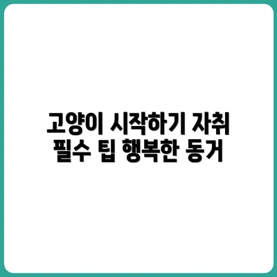 자취 고양이 키우기 입문자 가이드
