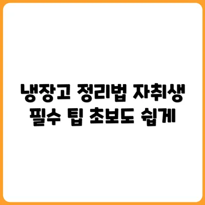자취 초보를 위한 냉장고 정리법 완전정복